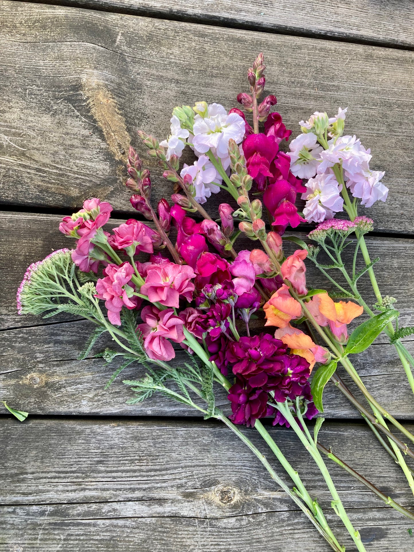 Cut Flower Subscription - July